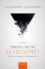 Image for Controlling the EU executive?: the politics of delegation in the European Union