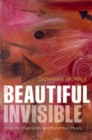 Image for The beautiful invisible: creativity, imagination, and theoretical physics