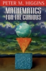 Image for Mathematics for the Curious