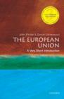 Image for The European Union: a very short introduction : 36
