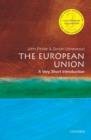Image for The European Union: a very short introduction. : 36