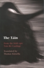 Image for The Tôain: Translated from the Irish Epic Tôain Bôo Cualinge