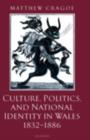 Image for Culture, politics, and national identity in Wales, 1832-1886
