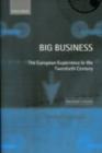 Image for Big business: the European experience in the twentieth century