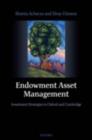 Image for Endowment asset management: investment strategies in Oxford and Cambridge
