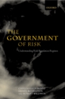 Image for The Government of Risk: Understanding Risk Regulation Regimes