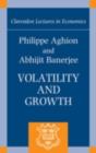 Image for Volatility and growth
