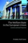Image for The welfare state in the European Union: economic and social perspectives