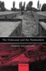 Image for The Holocaust and the postmodern