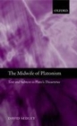 Image for The midwife of Platonism: text and subtext in Plato&#39;s Theaetetus