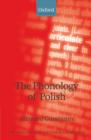 Image for The phonology of Polish