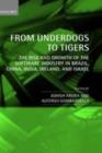 Image for From underdogs to tigers: the rise and growth of the software industry in Brazil, China India, Ireland, and Israel