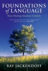 Image for Foundations of language: brain, meaning, grammar, evolution