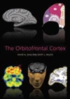 Image for The orbitofrontal cortex