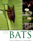 Image for Bats: from evolution to conservation