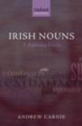 Image for Irish nouns: a reference guide