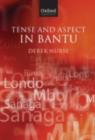 Image for Tense and aspect in Bantu