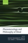 Image for Phenomenology and philosophy of mind