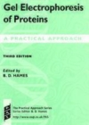 Image for Gel electrophoresis of proteins