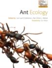 Image for Ant ecology