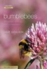 Image for Bumblebees: behaviour, ecology, and conservation