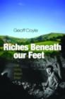 Image for The riches beneath our feet: how mining shaped Britain