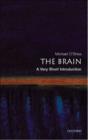 Image for The Brain: A Very Short Introduction