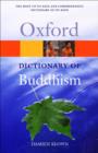 Image for A dictionary of Buddhism