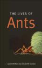 Image for Lives of Ants