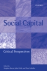 Image for Social capital: critical perspectives