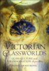Image for Victorian glassworlds: glass culture and the imagination 1830-1880