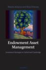 Image for Endowment Asset Management Investment Strategies in Oxford and Cambridge
