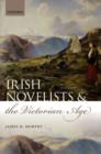 Image for Irish novelists and the Victorian age