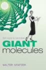 Image for Giant molecules: from nylon to nanotubes