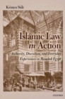 Image for Islamic Law in Action: Authority, Discretion, and Everyday Experiences in Mamluk Egypt