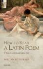 Image for How to read a Latin poem: if you can&#39;t read Latin yet