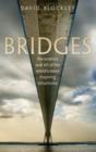Image for Bridges: the science and art of the world&#39;s most inspiring structures
