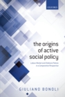 Image for The origins of active social policy: labour market and childcare polices in a comparative perspective