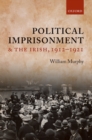 Image for Political imprisonment and the Irish, 1912-1921