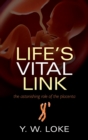 Image for Life&#39;s vital link: the astonishing role of the placenta