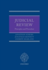 Image for Judicial review: principles and procedure