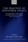 Image for The practice of industrial policy: government-business coordination in Africa and East Asia