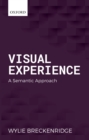 Image for Visual Experience: A Semantic Approach