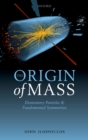 Image for The Origin of Mass: Elementary Particles and Fundamental Symmetries