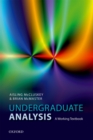 Image for Undergraduate Analysis: A Working Textbook