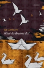 Image for What Do Dreams Do?