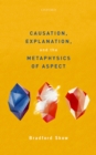Image for Causation, Explanation, and the Metaphysics of Aspect