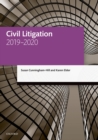 Image for Civil litigation 2019-2020
