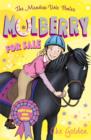 Image for The Meadow Vale Ponies: Mulberry for Sale
