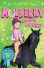 Image for The Meadow Vale Ponies: Mulberry Gets up to Mischief